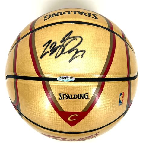 lebron james autographed basketball value.